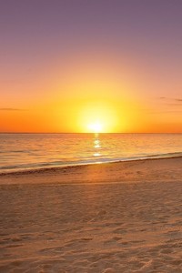 精湛技术展现，球员们在赛场上尽显风采