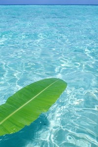 大连一方主场战平河北华夏幸福