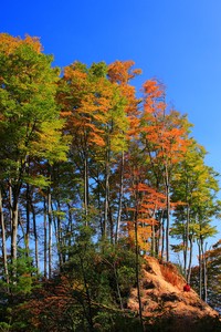 欧洲国际友谊赛掀起球迷狂欢