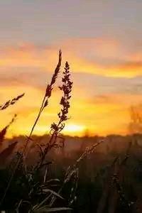 深圳佳兆业客场负于重庆力帆，积分优势不再保守