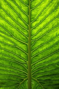 深圳佳兆业客场负于重庆力帆，积分优势不再保守