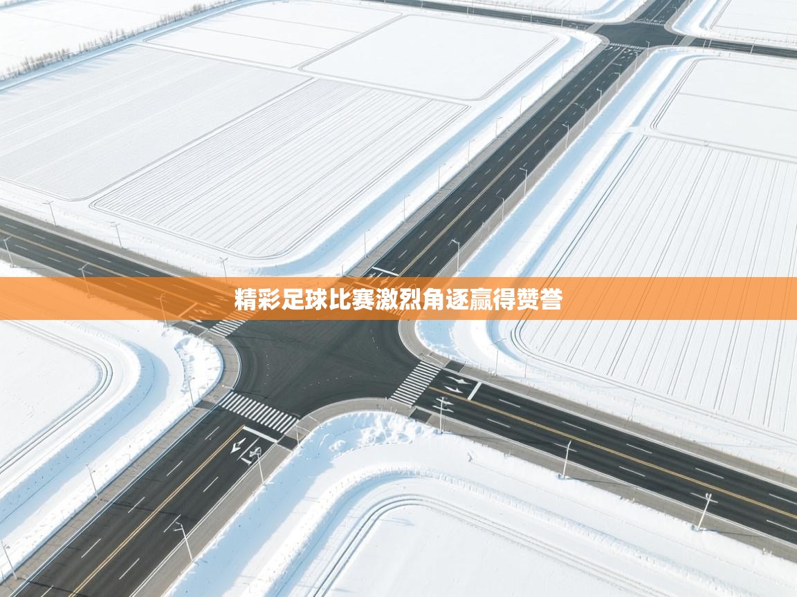 精彩足球比赛激烈角逐赢得赞誉  第2张