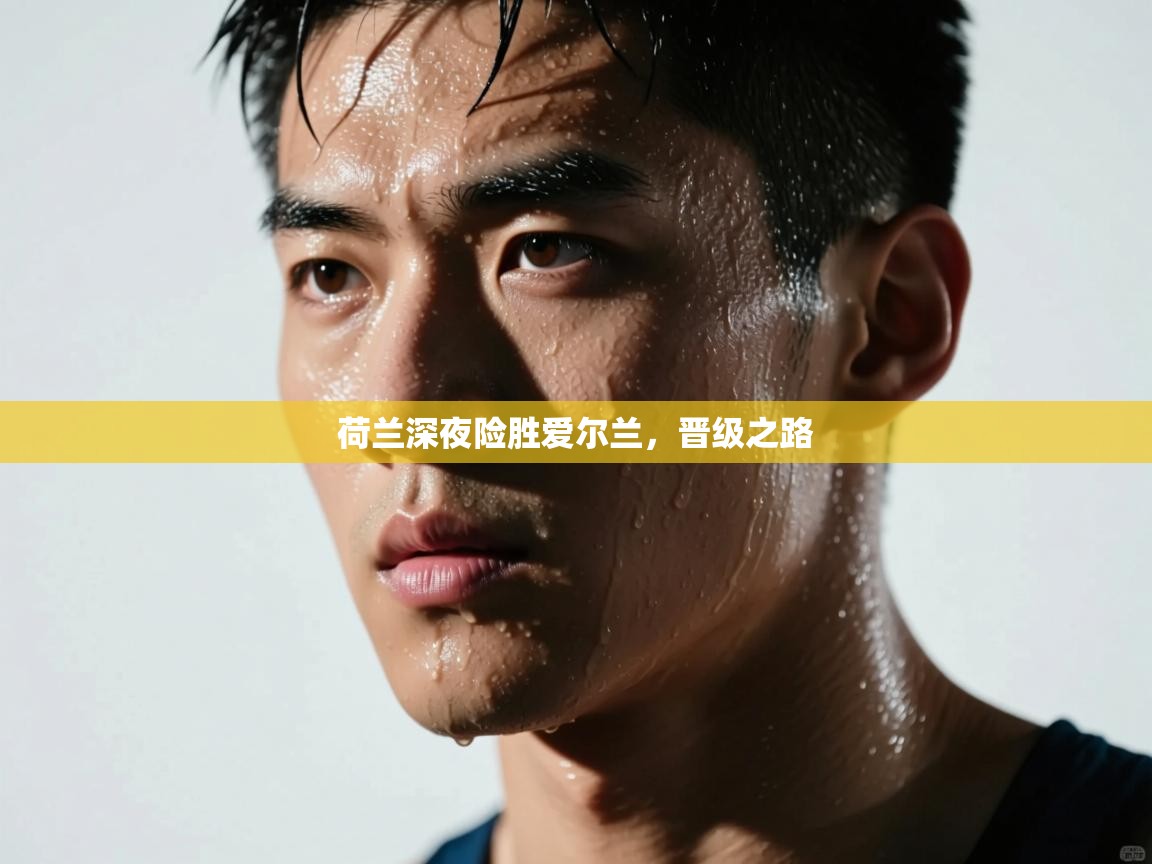 荷兰深夜险胜爱尔兰，晋级之路  第1张