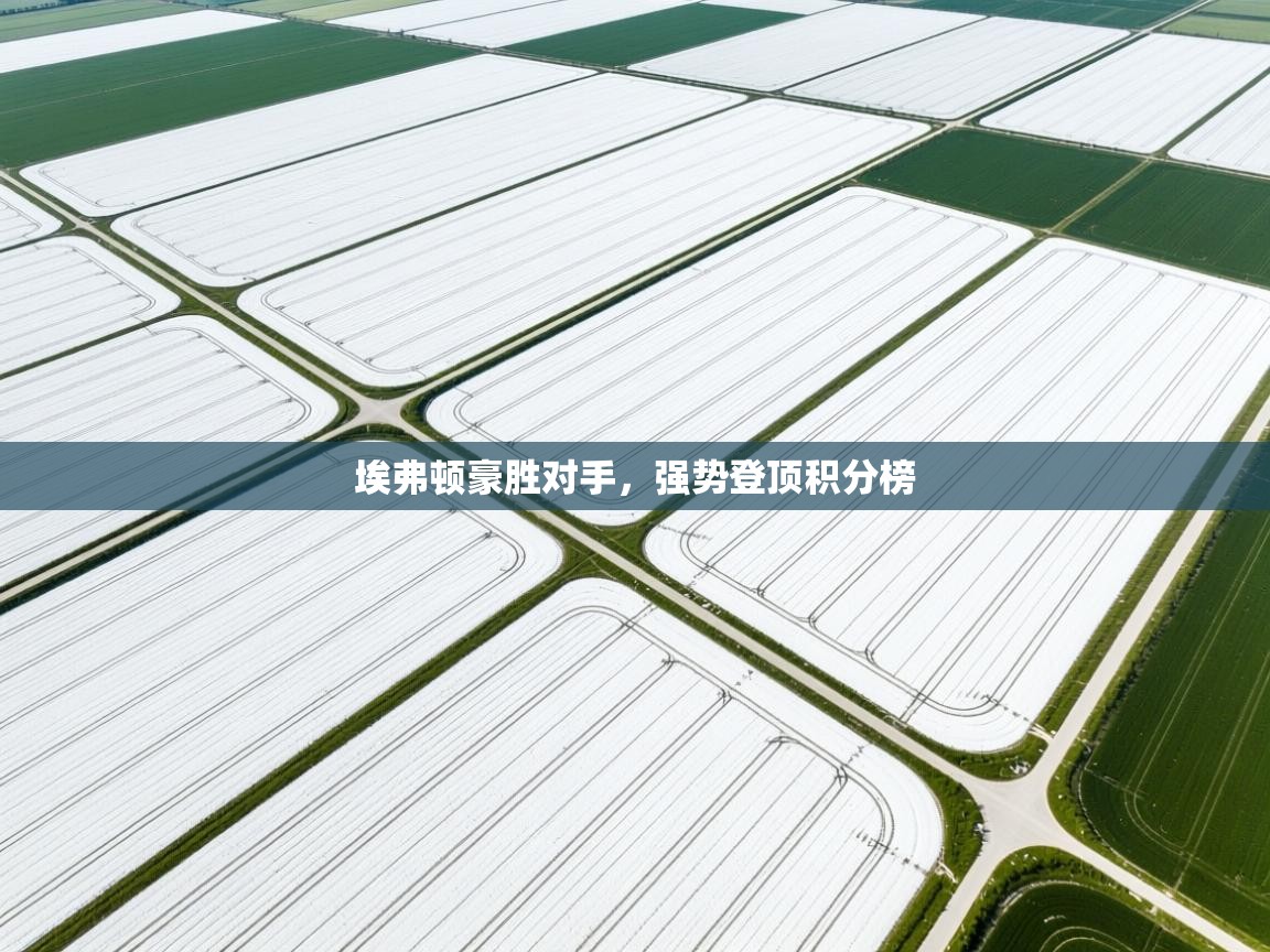 埃弗顿豪胜对手，强势登顶积分榜  第2张