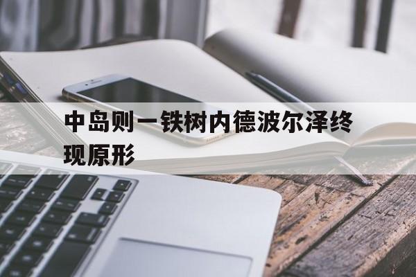 aoa体育账户登录-包含中岛则一铁树内德波尔泽终现原形的词条